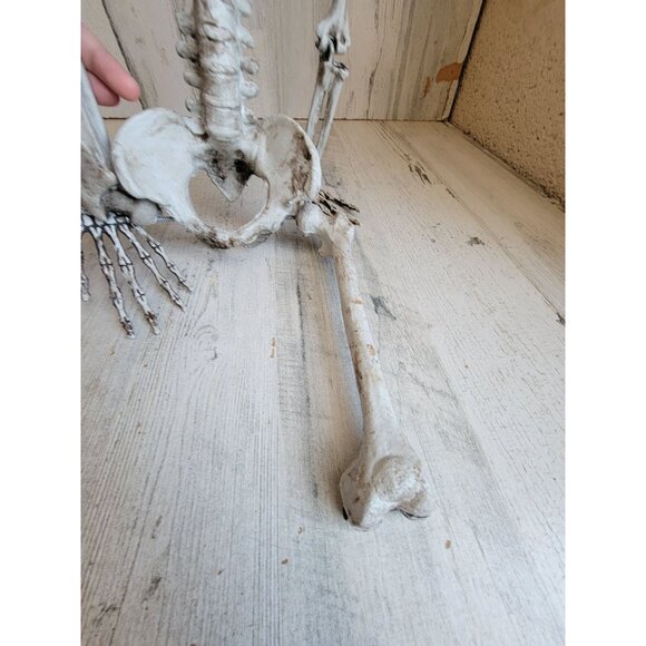Skeleton AS IS jointed hanging Halloween home decor prop scary - Picture 7 of 15
